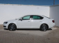 Škoda Octavia, 2019
