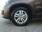 Volkswagen Tiguan, 2013