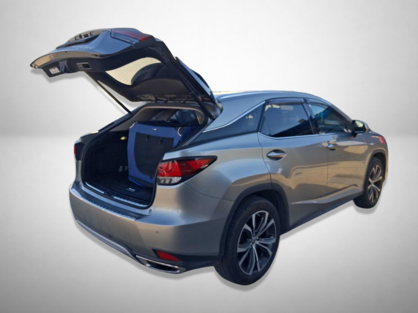 Lexus RX, 2022