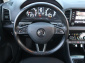 Škoda Karoq, 2019