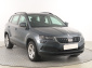 Škoda Karoq, 2019