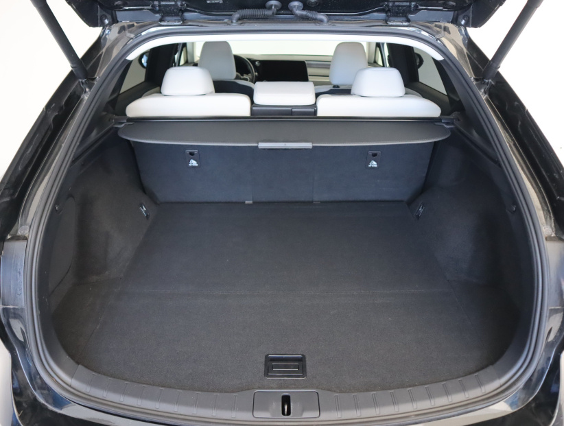 Lexus RX, 2024
