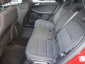 Ford Kuga, 2024
