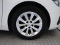 Peugeot 308, 2019