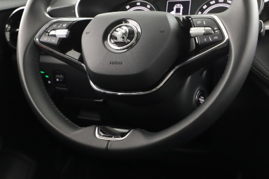 Škoda Fabia - 2024