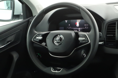 Škoda Karoq - 2024