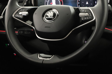 Škoda Kodiaq - 2024