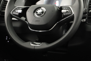 Škoda Karoq - 2024