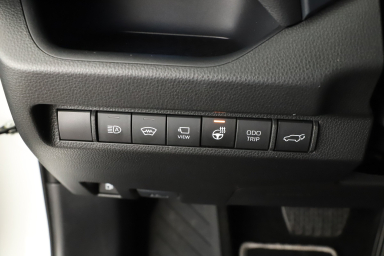 Toyota RAV 4 - 2024