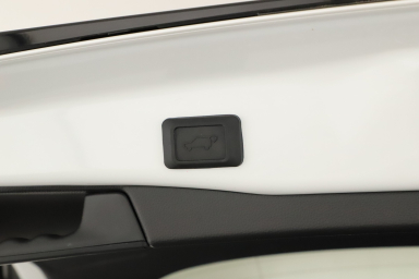 Toyota RAV 4 - 2024