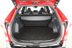 Toyota RAV 4 - 2024