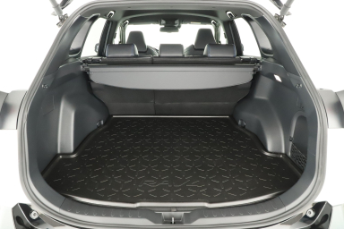 Toyota RAV 4 - 2024