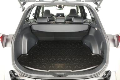 Toyota RAV 4 - 2024