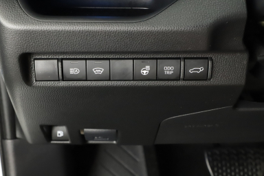 Toyota RAV 4 - 2024