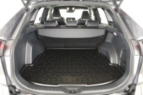 Toyota RAV 4 - 2024