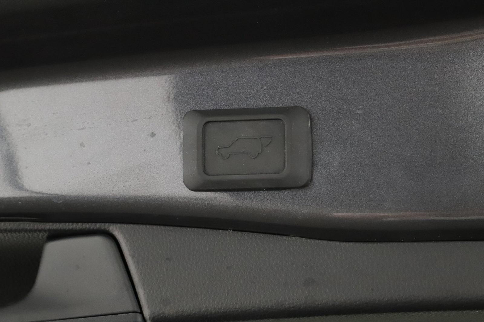 Toyota RAV 4 - 2024