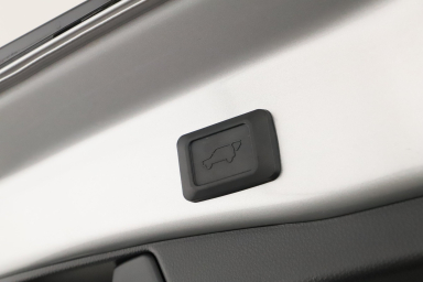 Toyota RAV 4 - 2024
