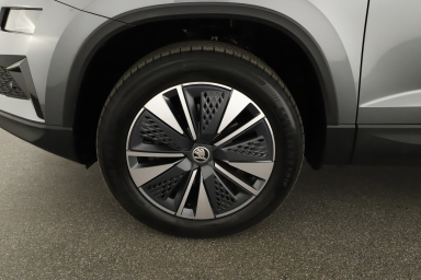 Škoda Karoq - 2024