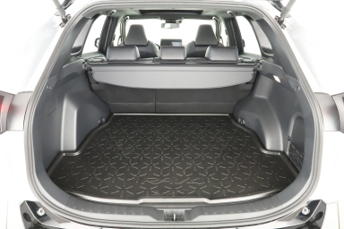 Toyota RAV 4 - 2024