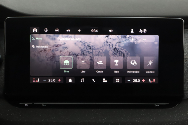 Škoda Octavia - 2024