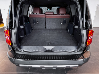 Toyota Land Cruiser - 2025