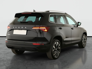 Škoda Karoq - 2024