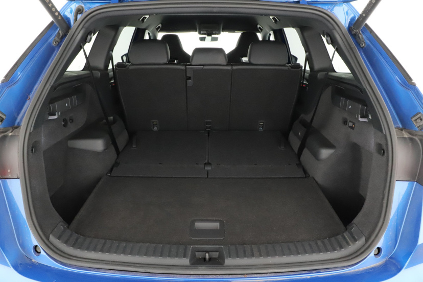 Škoda Kodiaq, 2024