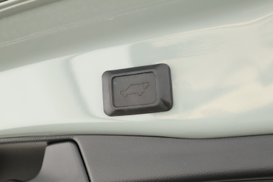 Toyota RAV 4 - 2025