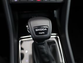 Škoda Karoq - 2025