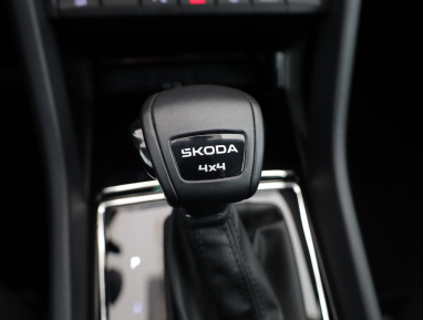 Škoda Karoq - 2025