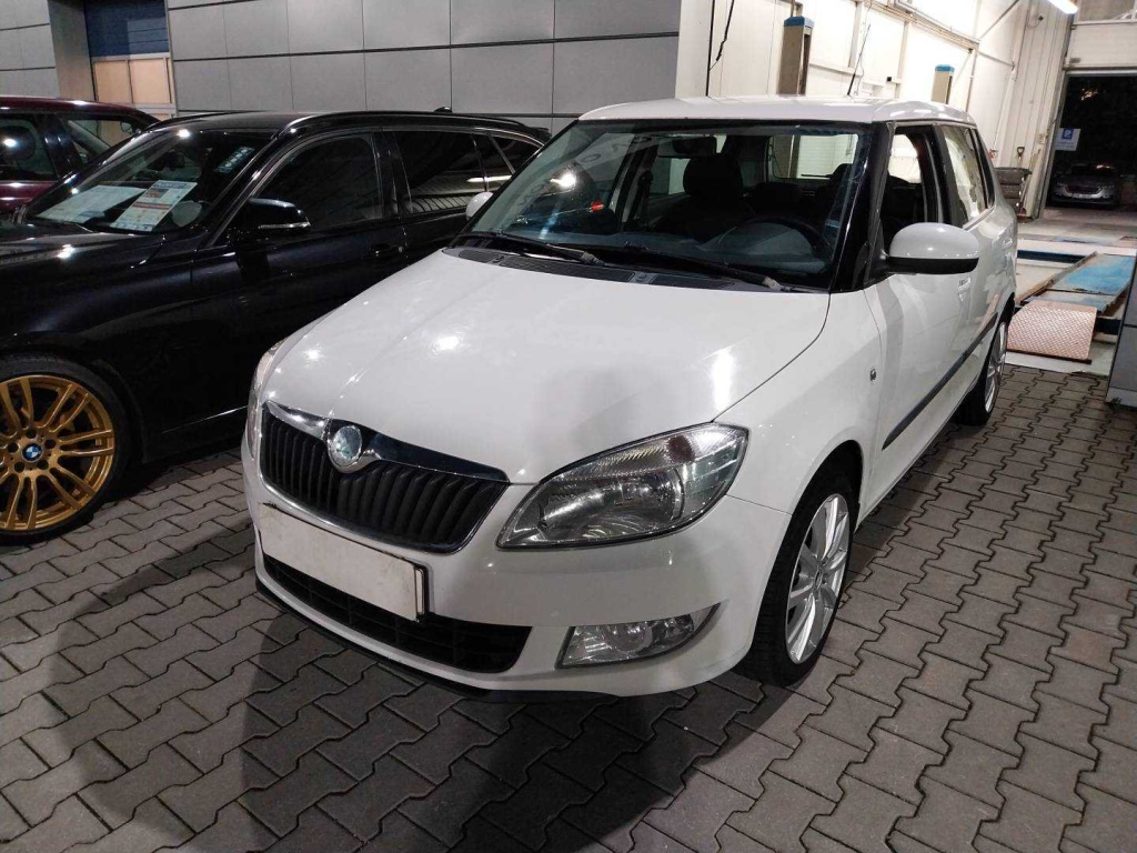 Škoda Fabia, 2010, 1.6 TDI, 77kW