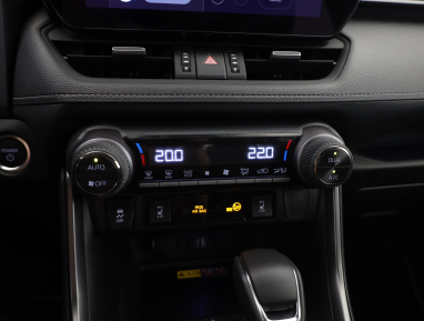 Toyota RAV 4 - 2025