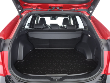 Toyota RAV 4 - 2025