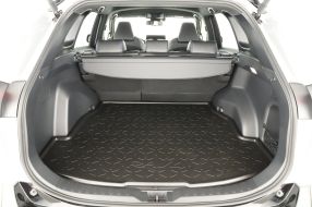 Toyota RAV 4 - 2025