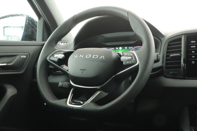 Škoda Karoq - 2025