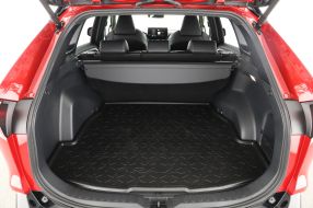 Toyota RAV 4 - 2024