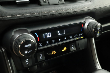 Toyota RAV 4 - 2024