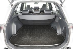 Toyota RAV 4 - 2024