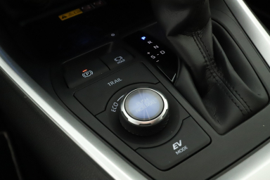 Toyota RAV 4 - 2024