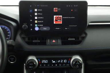 Toyota RAV 4 - 2024