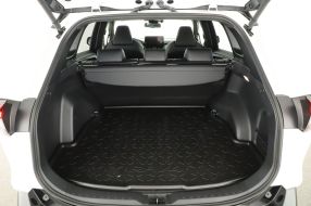 Toyota RAV 4 - 2024