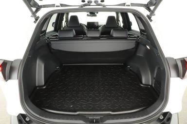 Toyota RAV 4 - 2024
