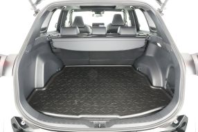 Toyota RAV 4 - 2024