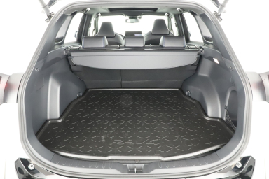 Toyota RAV 4 - 2024
