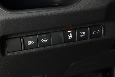 Toyota RAV 4 - 2024