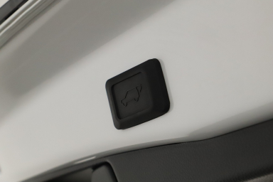 Toyota RAV 4 - 2024
