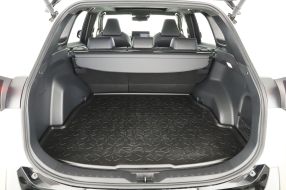 Toyota RAV 4 - 2024