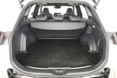 Toyota RAV 4 - 2024