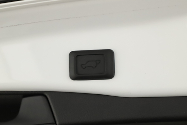 Toyota RAV 4 - 2024