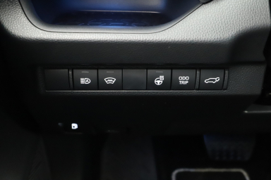 Toyota RAV 4 - 2024